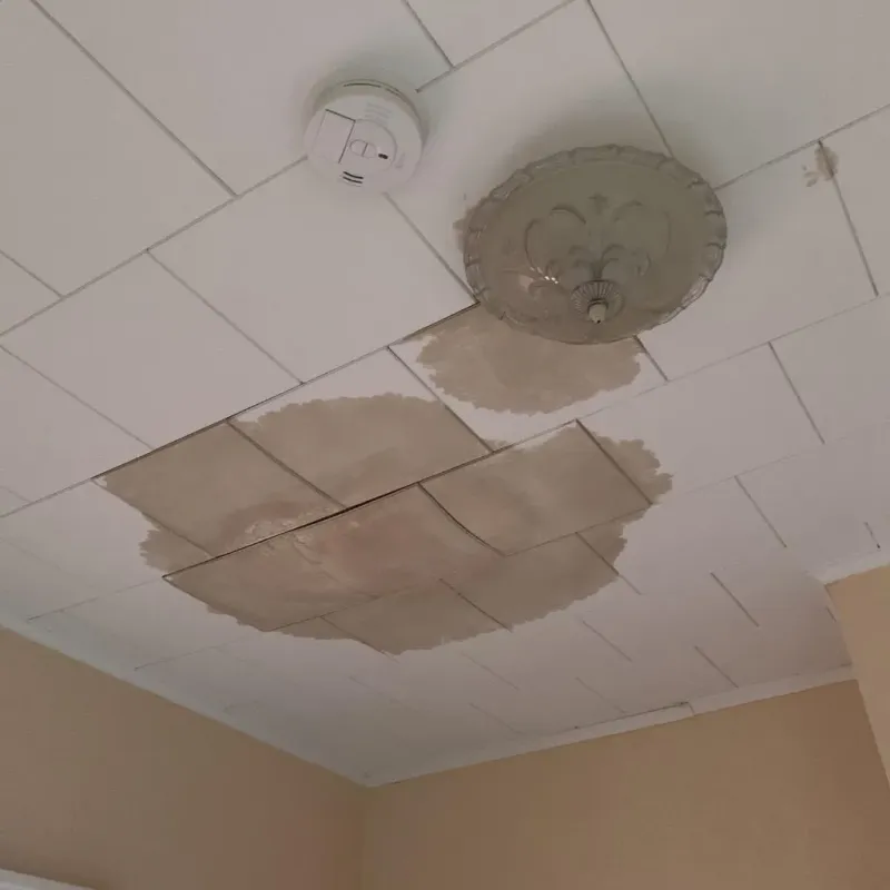 Ceiling Water Damage Repair in Northumberland County, PA