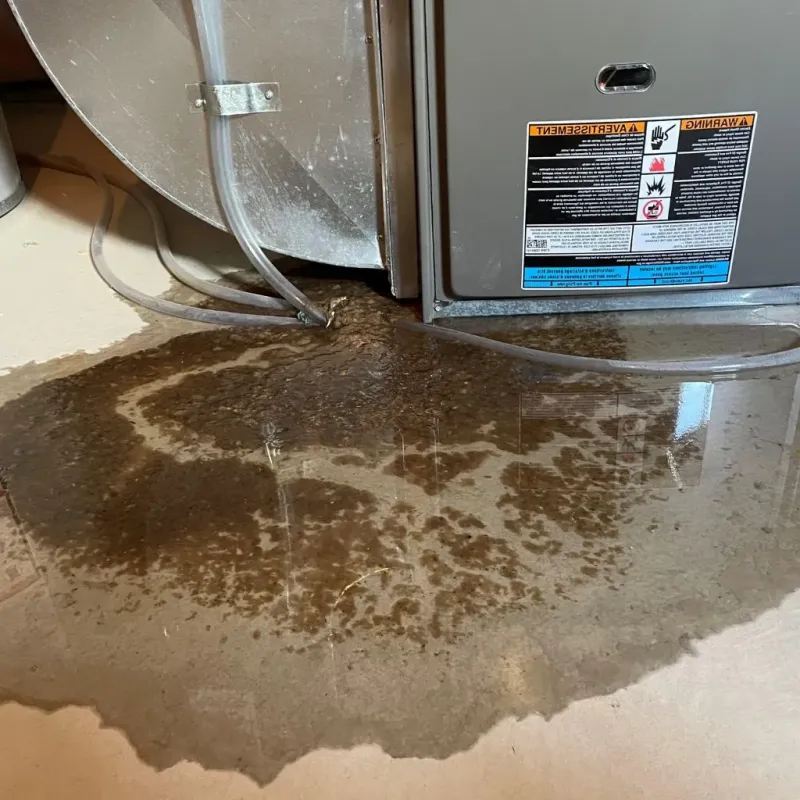Pipe Burst and Leak Restoration in Northumberland County, PA
